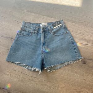 Abercrombie-fitch The 90s Relaxed Cutoff Short 27 Curve Love